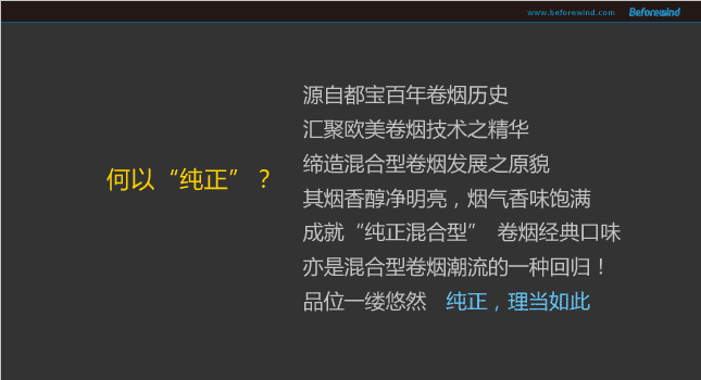 都寶 風之力 09年營銷 都寶 風之力 09年營銷
