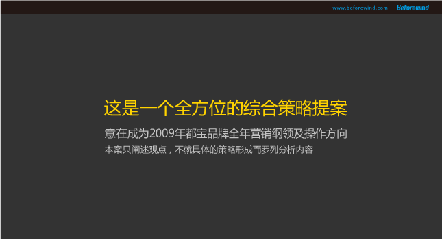 都寶 風之力 09年營銷 都寶 風之力 09年營銷