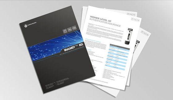 握奇科技 風知力 握奇科技 風知力