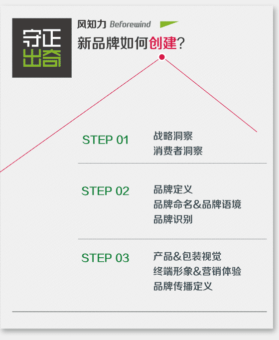 風(fēng)知力 品牌創(chuàng)建 風(fēng)知力 品牌創(chuàng)建